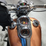 Мотоцикл HD LOW RIDER FXDL1580 з пробігом 96678 km