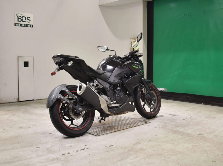 Мотоцикл Kawasaki Z250 с пробегом 75141 km