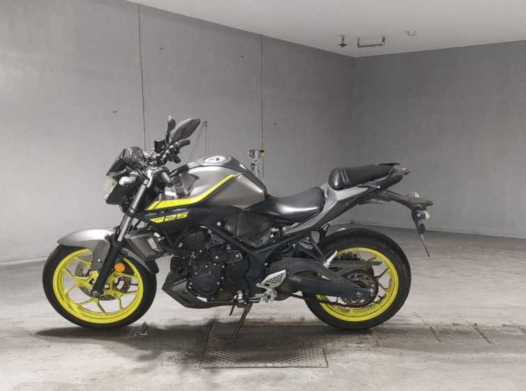 Мотоцикл Yamaha MT-25 з пробігом 28772 km