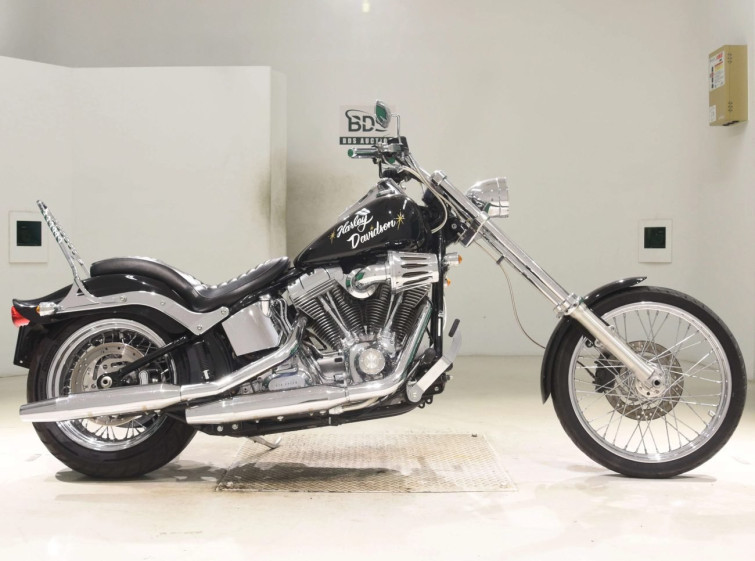 Мотоцикл HD SOFTAIL FXST1580 з пробігом 19994 km