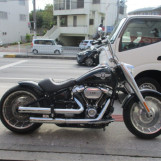 Мотоцикл HD HARLEY FLFBS з пробігом 8039 km