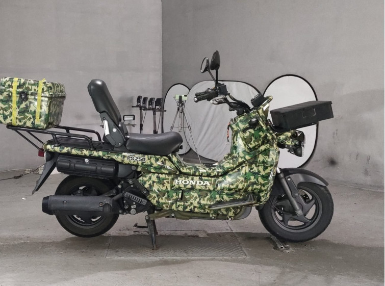 Мотоцикл Honda PS250 BIG RUCKUS з пробігом 21587 km