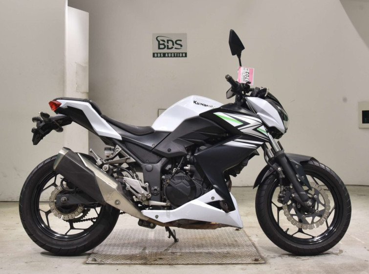 Мотоцикл Kawasaki Z250 з пробігом 21564 km