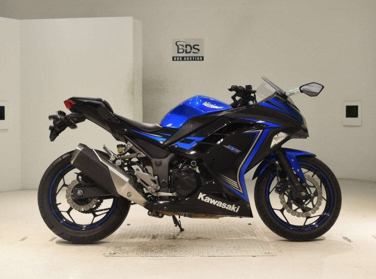 Мотоцикл Kawasaki NINJA250 з пробігом 33322 km