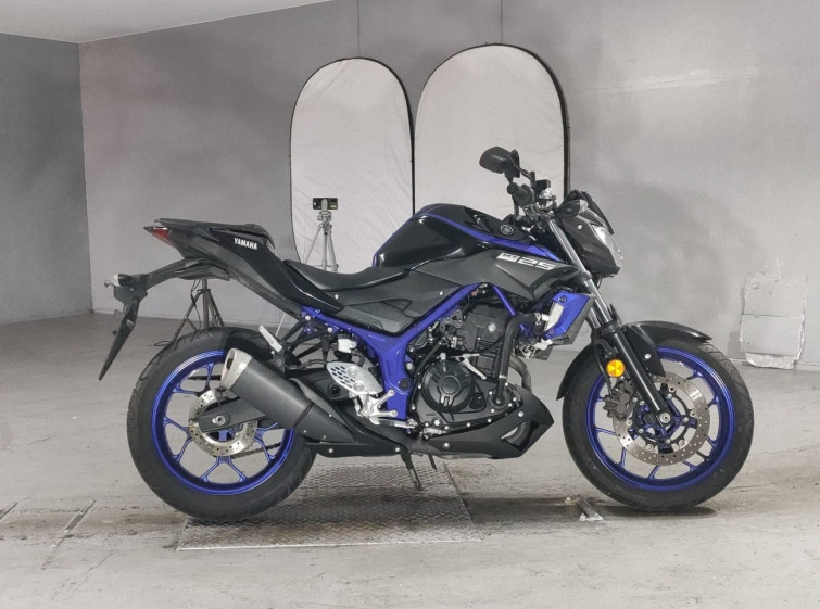 Мотоцикл Yamaha MT-25 з пробігом 7966 km