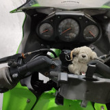 Мотоцикл Kawasaki NINJA250R з пробігом 40508 km