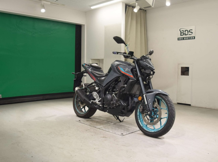 Мотоцикл Yamaha MT-25 с пробегом 8895 km