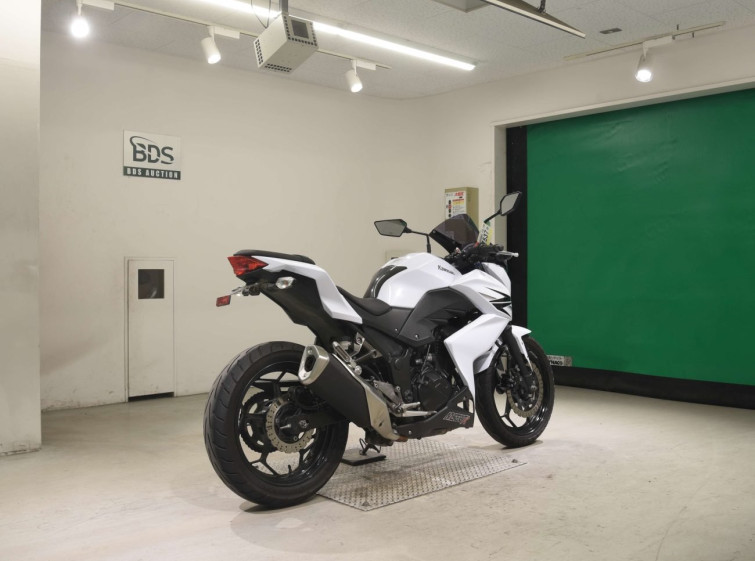 Мотоцикл Kawasaki Z250 з пробігом 34454 km