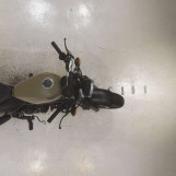 Мотоцикл Honda REBEL CMX250 з пробігом 54247 km