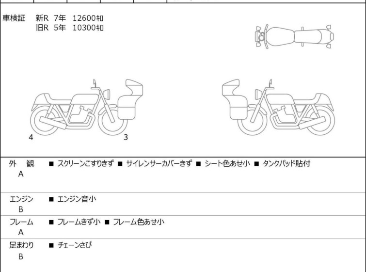 Мотоцикл Kawasaki NINJA H2 SX з пробігом 13250 km