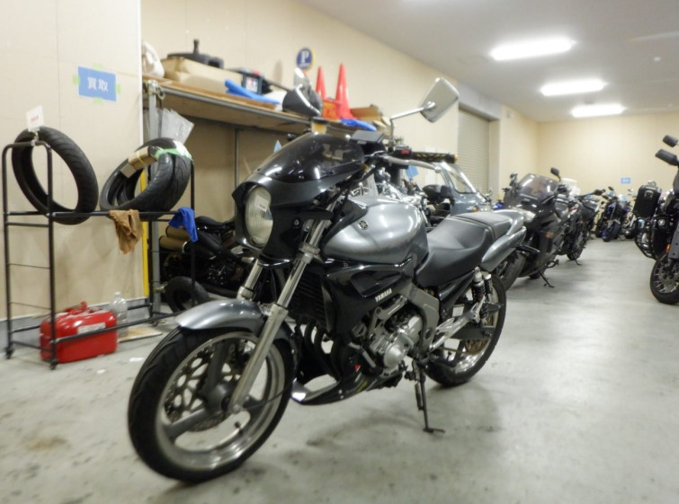 Мотоцикл Yamaha ZEAL FZX250 з пробігом 52133 km