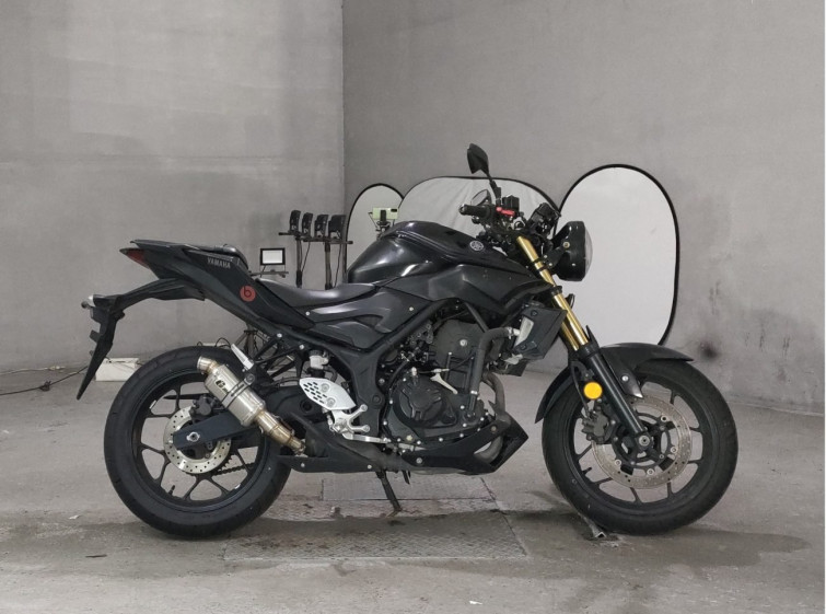 Мотоцикл Yamaha MT-25 з пробігом 16280 km