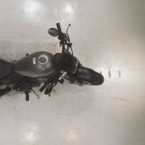 Мотоцикл Honda REBEL CMX500 с пробегом 19596 km