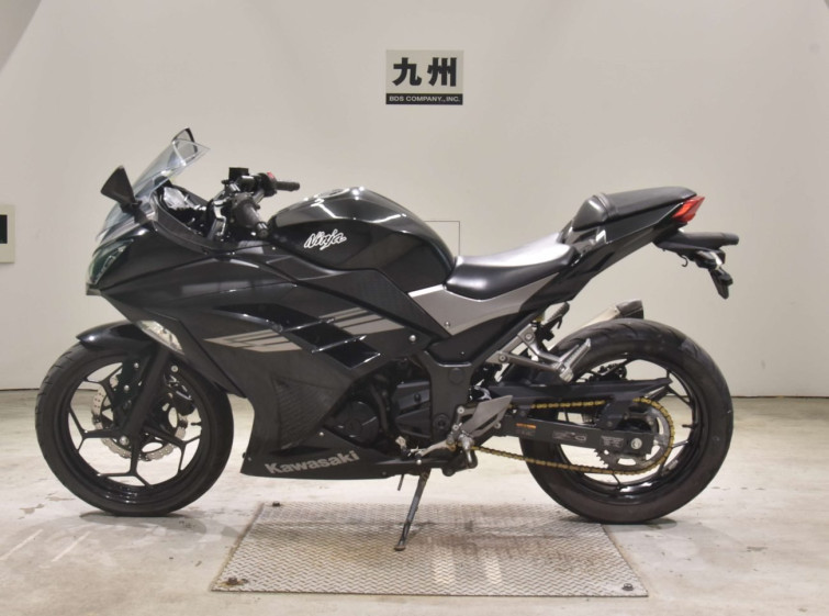 Мотоцикл Kawasaki NINJA250 з пробігом 19736 km