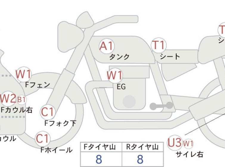 Мотоцикл Honda CBR1100XX BLACKBIRD з пробігом 24806 km