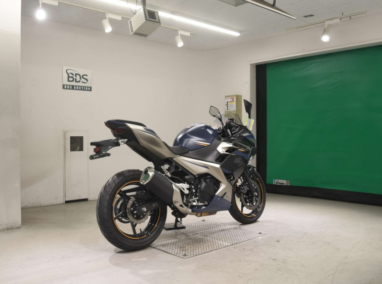 Мотоцикл Kawasaki NINJA250 с пробегом 187 km