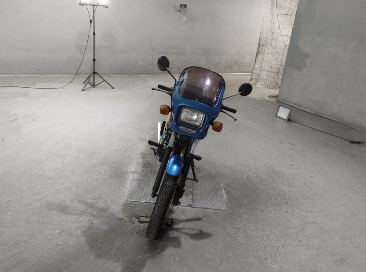 Мотоцикл Honda CB250RS з пробігом 15324 km