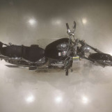 Мотоцикл Yamaha DRAGSTAR XVS400 з пробігом 25297 km