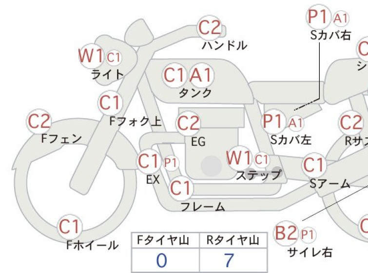 Мотоцикл Kawasaki ESTRELLA RS з пробігом 16979 km