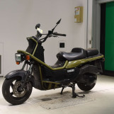 Мотоцикл Honda PS250 BIG RUCKUS з пробігом 43012 km