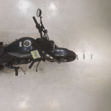 Мотоцикл Honda REBEL CMX250 з пробігом 2835 km