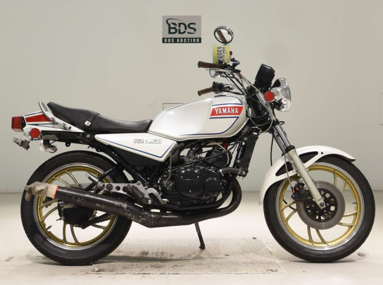 Мотоцикл Yamaha RZ250 з пробігом 41993 km