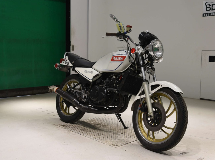 Мотоцикл Yamaha RZ250 з пробігом 41993 km