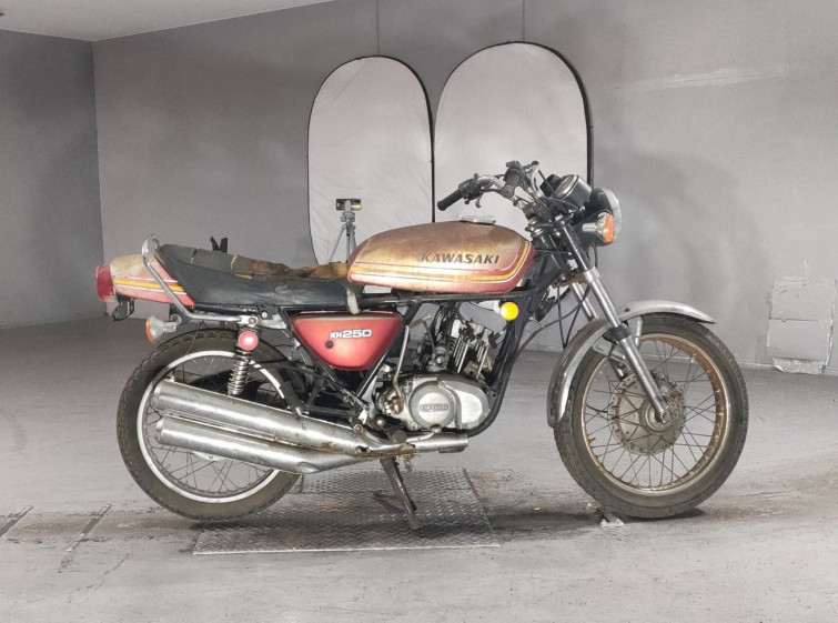 Мотоцикл Kawasaki 250SS з пробігом 8763 m