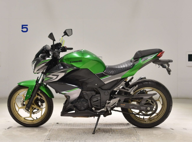 Мотоцикл Kawasaki Z250 з пробігом 39844 km