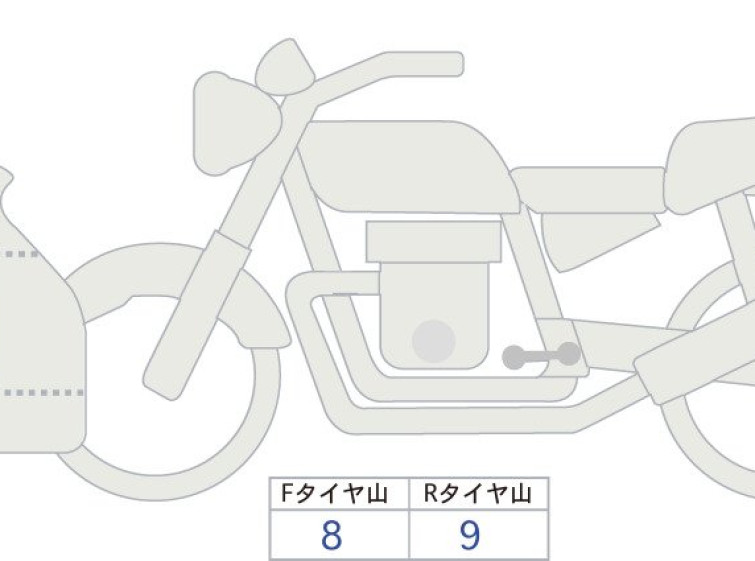 Мотоцикл Kawasaki NINJA1100SX с пробегом 1220 km