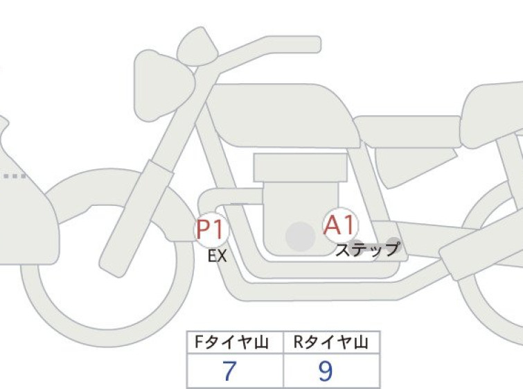Мотоцикл BMW R1250GS с пробегом 4116 km
