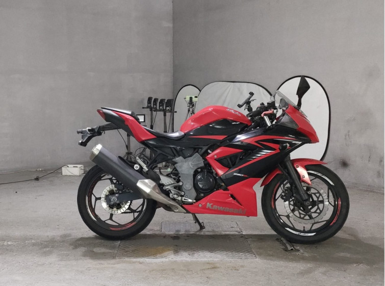 Мотоцикл Kawasaki NINJA250 з пробігом 8576 km