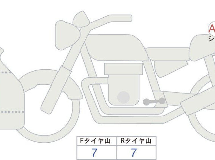 Мотоцикл Honda GL1800 TOUR з пробігом 1509 km