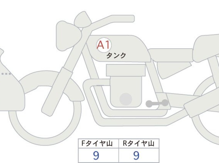 Мотоцикл BMW R1300RT ASA з пробігом 100 km