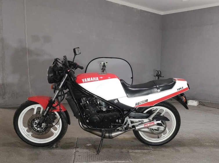 Мотоцикл Yamaha RZ250R з пробігом 17836 km