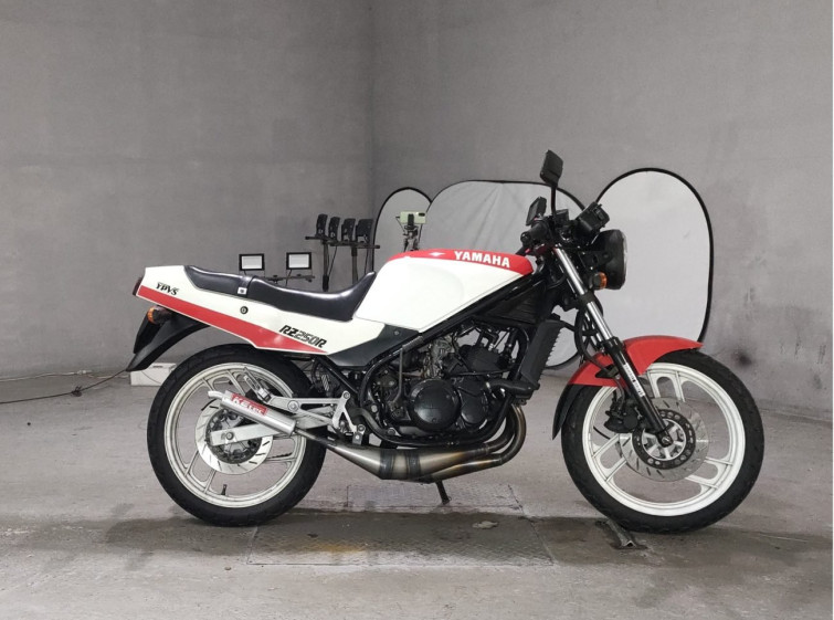 Мотоцикл Yamaha RZ250R з пробігом 17836 km