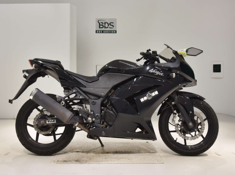 Мотоцикл Kawasaki NINJA250R з пробігом 4579 km