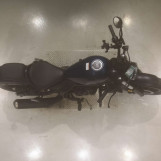 Мотоцикл Honda REBEL CMX250 з пробігом 3669 km