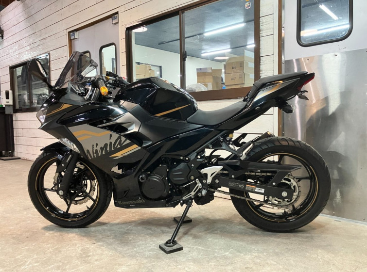 Мотоцикл Kawasaki NINJA250 з пробігом 21267 km