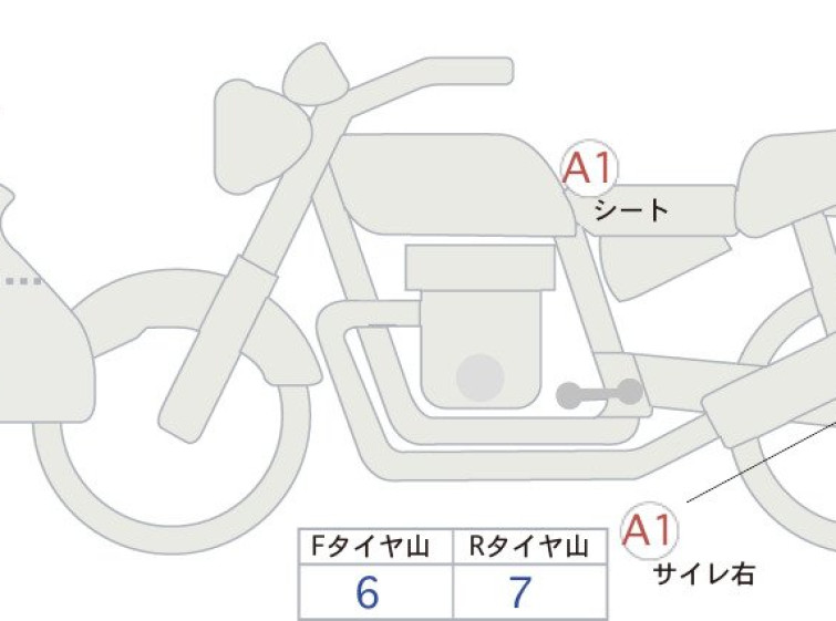 Мотоцикл BMW R1250RT з пробігом 4302 km