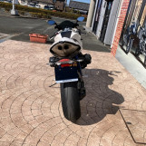 Мотоцикл BMW HP2 SPORTS с пробегом 3676 km