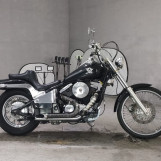 Мотоцикл Kawasaki VULCAN400 CUSTOM з пробігом 17313 km