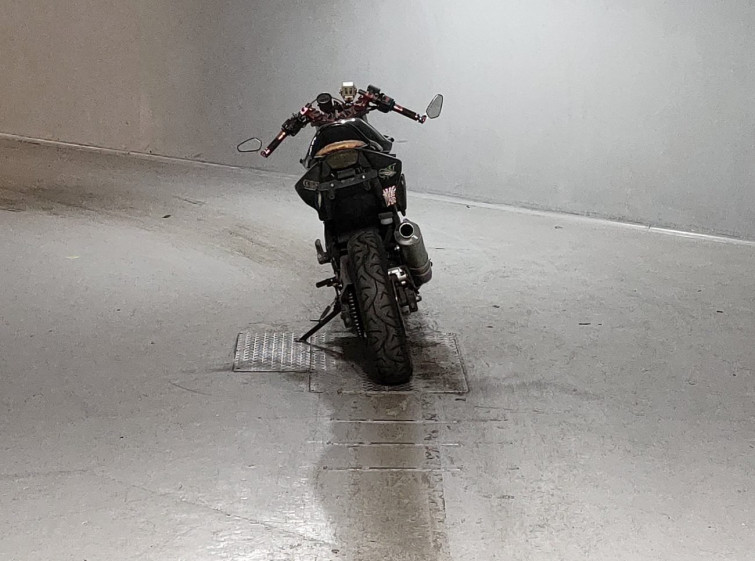 Мотоцикл Kawasaki NINJA250R з пробігом 8600 km