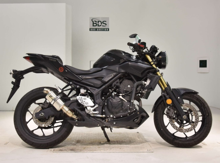 Мотоцикл Yamaha MT-25 з пробігом 16280 km