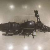 Мотоцикл HD ROADSTER XL1200CX с пробегом 10752 km