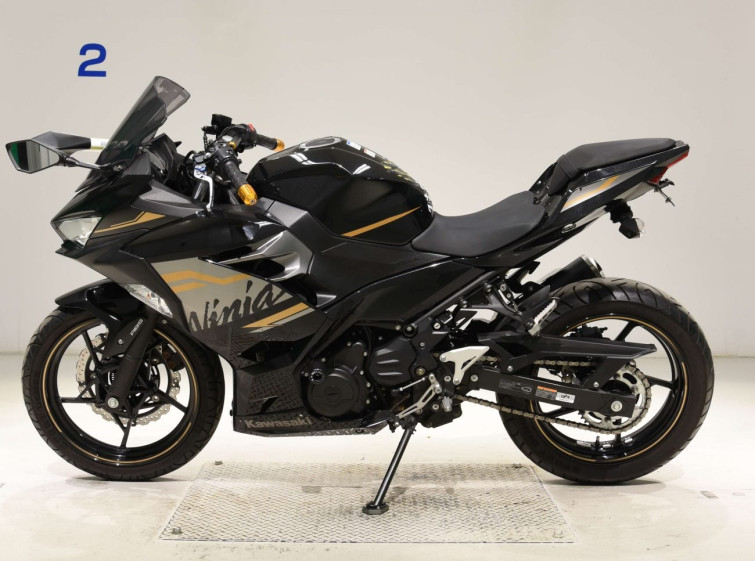 Мотоцикл Kawasaki NINJA250 с пробегом 21267 km