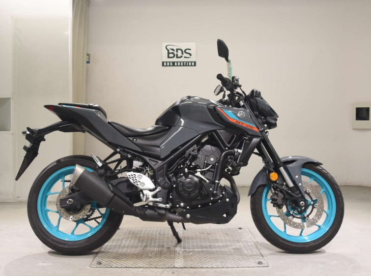 Мотоцикл Yamaha MT-25 з пробігом 21903 km
