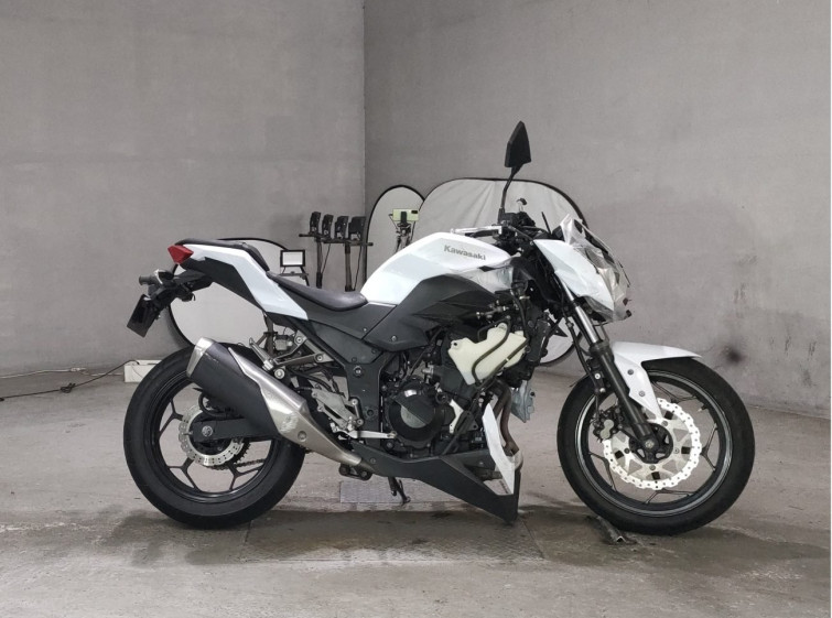 Мотоцикл Kawasaki Z250 с пробегом 10887 km