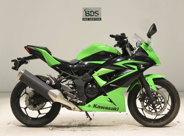Мотоцикл Kawasaki NINJA250 з пробігом 5411 km
