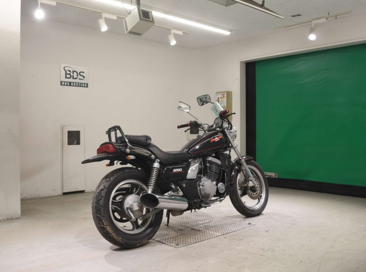 Мотоцикл Kawasaki ELIMINATOR 250 з пробігом 11306 km